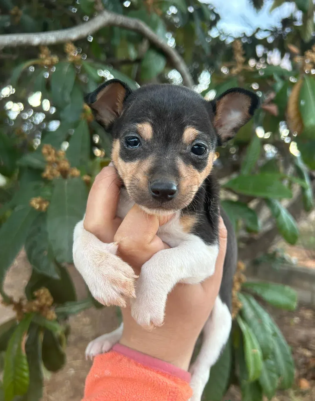 Villa del Minar - foto 1